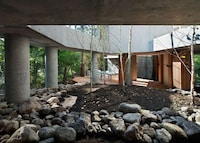 Eco-Friendly Forest Communities Image 3