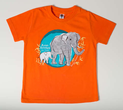 Conservationist Kids Clothing