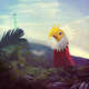 Real Life Cartoon Photography Image 8