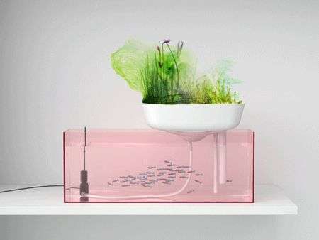 14 Eco-Friendly Aquariums