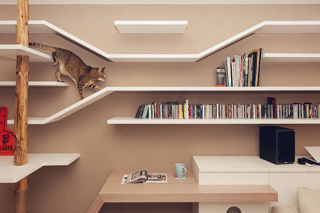 Multi-Purpose Cat Shelving