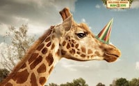 Rejoicing Animal Ads Image 3