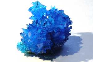 Crystallized Insect Carcasses : Dead Bees