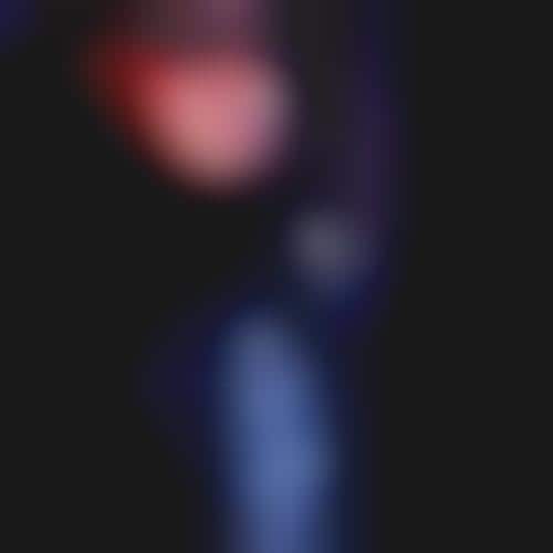 Cop Capture Blogs