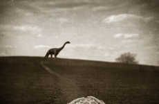 Prehistoric Surrealist Photography