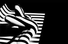 Animalistic Shadowed Photography 