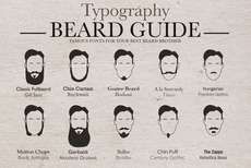 Bearded Typography Charts : Beard Guide