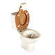 Classy Toilet Seat Redesigns Image 5