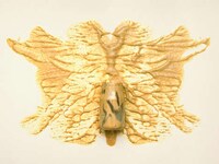 Foodie Ink Blot Artwork Image 4