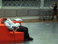 Voyeuristic Library Captures Image 5