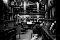 Voyeuristic Library Captures Image 8