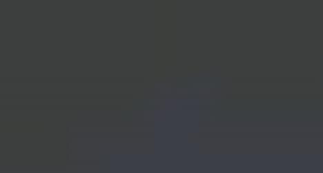 Successful CEO Demographics