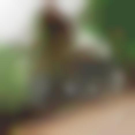 Elegant Plant-Watering Stones