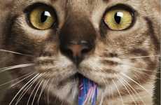 18 Frisky Feline Ad Campaigns