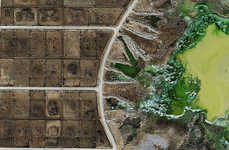 Frightening Feedlot Photography