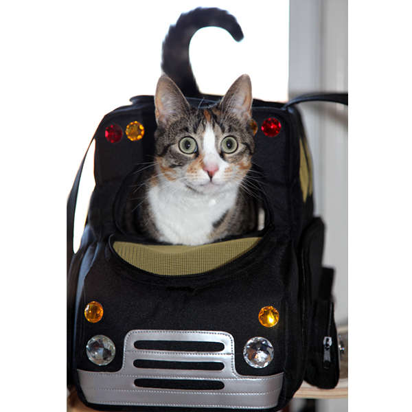 climate controlled pet carrier