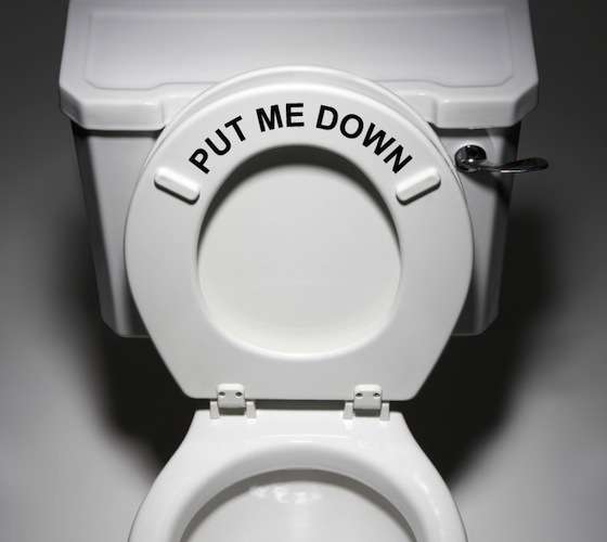 41 Examples of Humorous Toilet Seats