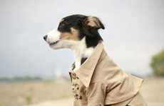 40 Couture Pet Outfits