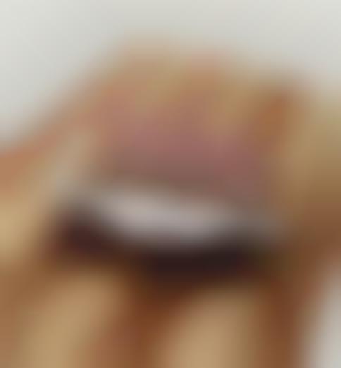 Commercial Pastry S'mores
