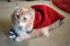 Heroic Feline Attire