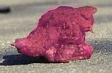 Pink Dog Poo