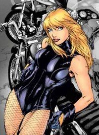 Badass Superhero Barbies Image 2