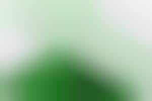 Methanol Powered Laptops: PolyFuel Lenovo T40 ThinkPad