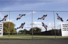 Dolphins in the City