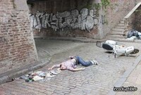 Playing Dead in Public Places Image 3