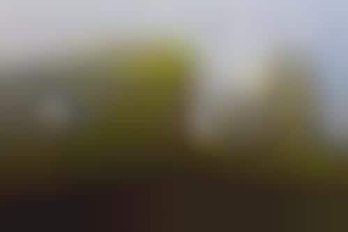 UFO Crash PR Stunts (Update)