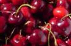 Cherry Tree Rentals