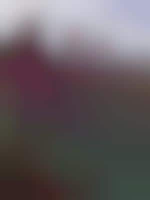 Fashion Shows in Olympic Stadiums