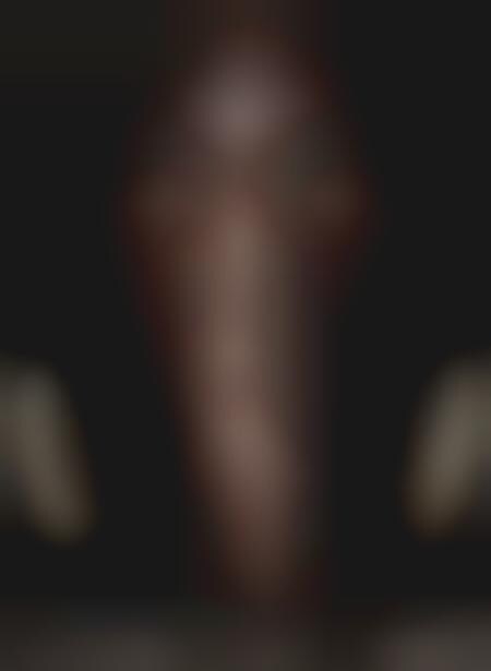 Grotesque Animal Faces