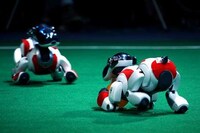 Robot Soccer Image 3