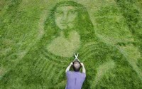 Lawn Art