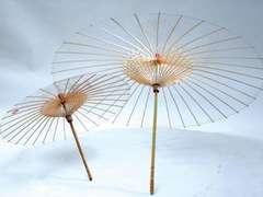 Biodegradable Umbrella