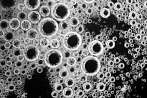Saliva Art
