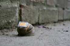 Sluggish Street Art
