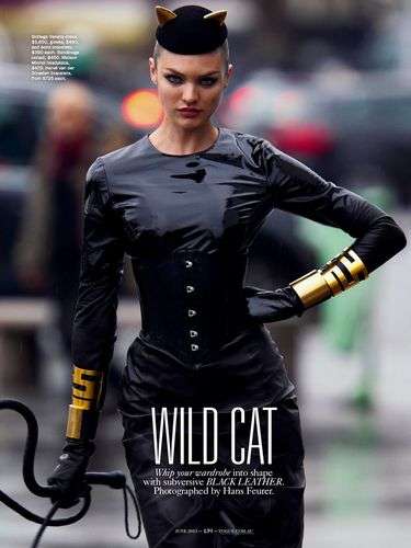16 Fierce Feline-Themed Spreads