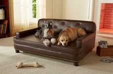 Sophisticated Pet Sofas