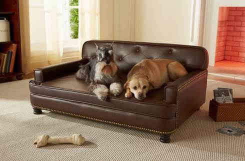 Sophisticated Pet Sofas