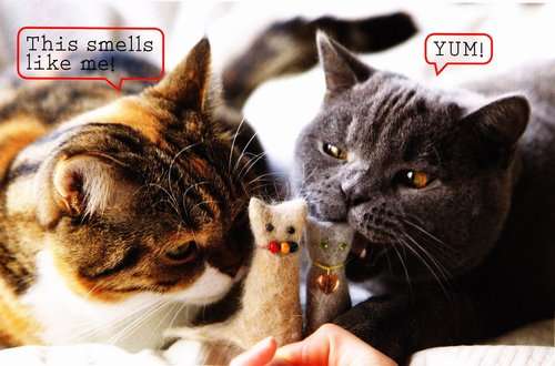 21 Creative Cat Toys