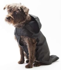 House Pet Rainwear Image 3