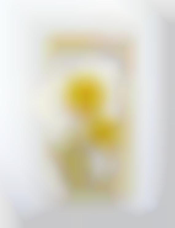Pressed Flower Phone Cases