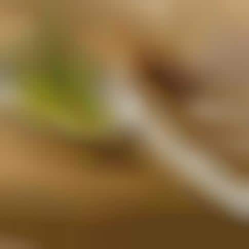 Herbal Basting Brushes