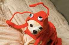 Luxe Delicious Pooch Attire