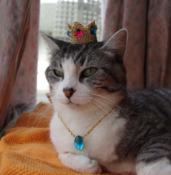 18 Precious Pet Hats