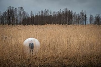 Nuclear Disaster-Inspired Photography Image 6