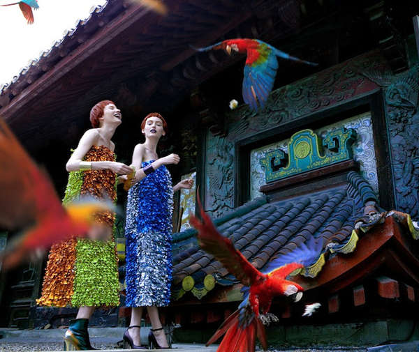 Colorful Bird-Infused Editorials