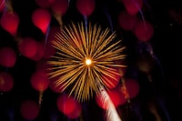 Abstract Firework Photography Image 2